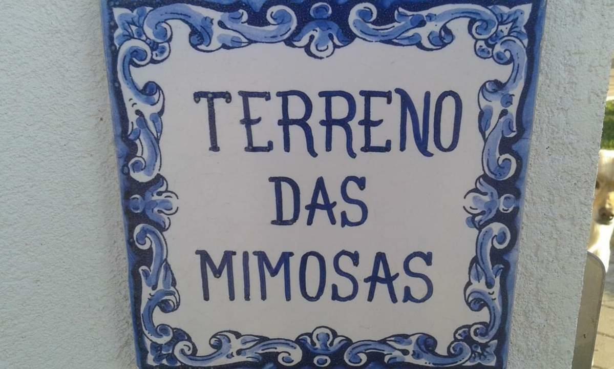 Terreno Das Mimosas Aveiro Bagian luar foto